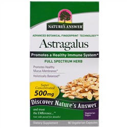 Nature's Answer, Астрагал, 500 мг, 90 растительных капсул