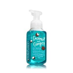 COCONUT & GINGER Gentle Foaming Hand Soap