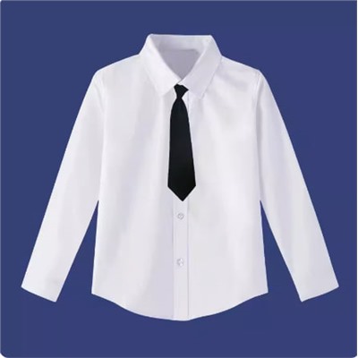 Рубашка с длинным рукавом и галстуком