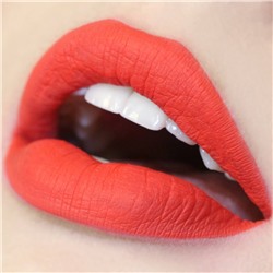 Succulent Ultra Matte Lip