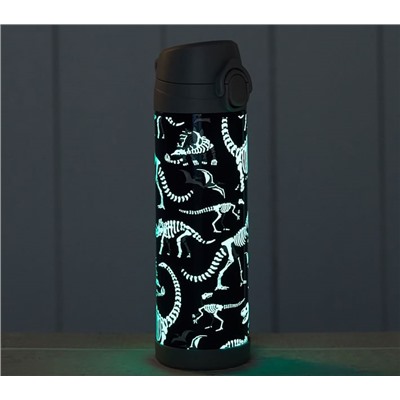 Mackenzie Blue/Gray Glow-in-the-Dark Dinos Water Bottles