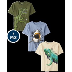 The Children’s Place  Boys Animal Graphic Tee 3-Pack - Multi Clr