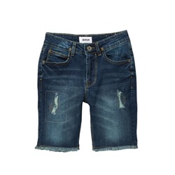 HUDSON Jeans Repaired Shorts (Big Boys)