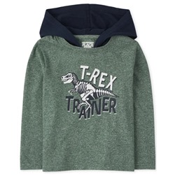 Toddler Boys Graphic Hoodie Top