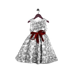 Joe-Ella Textured All-Over Roses Dress with Velvet Sash (Toddler & Little Girls)