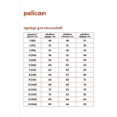 Футболка PELICAN, 886192