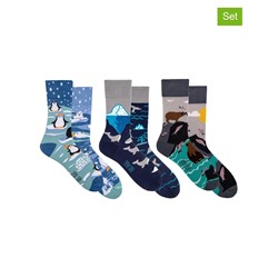 3er-Set: Socken in Bunt
