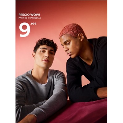 PACK OF 2 BASIC LONG SLEEVE T-SHIRTS