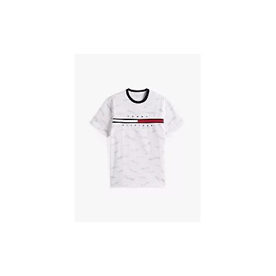 Signature Flag Stripe Logo T-Shirt