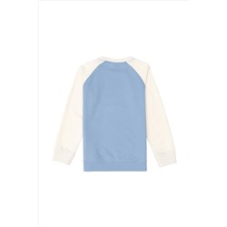 Erkek Çocuk Açık Mavi Bisiklet Yaka Sweatshirt