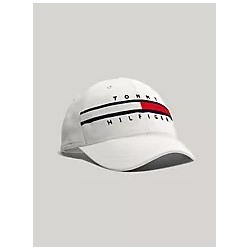 Flag Stripe Logo Baseball Cap