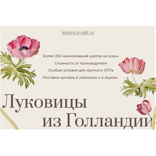 https://lukovica-opt.ru/. Продажа оптом голландских луковиц и корней от производителей