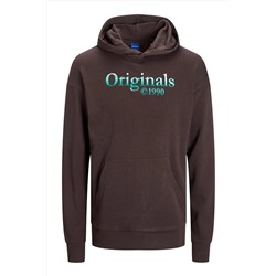 Jack & JonesJorfırefly Y Brandıng Sweatshirt 12209982