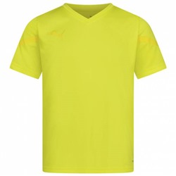 PUMA  PUMA teamFLASH Kinder Trikot 704395-23