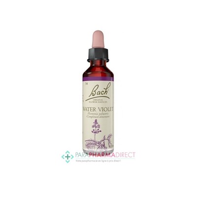 Fleurs de Bach Water Violet (violette) Ouvert aux autres, spontanéité 20ml