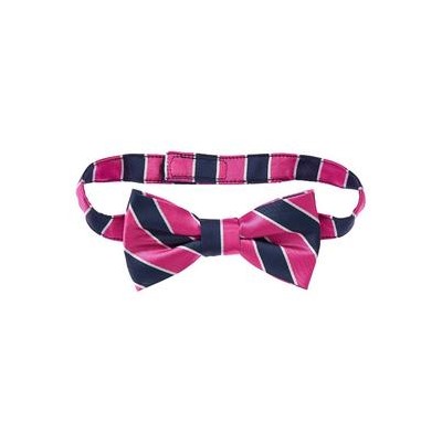 Striped Bow Tie