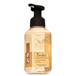 Aromatherapy


Frankincense Myrrh


Gentle Foaming Hand Soap