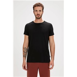 Bad Bear, Solıd Tee Nıght