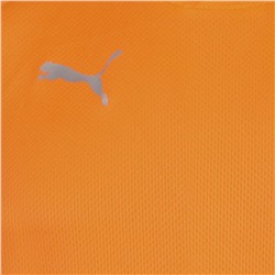 PUMA teamFINAL Herren Trikot 657379-21