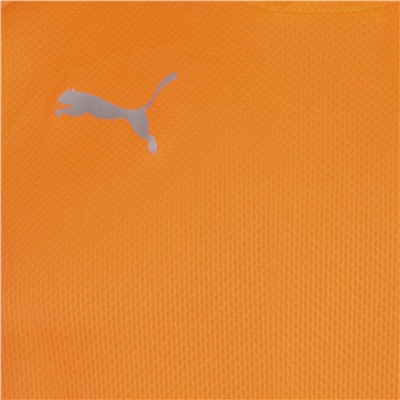 PUMA teamFINAL Herren Trikot 657379-21