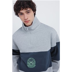 Sudadera cortes escudo