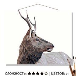«СЕВЕРНЫЙ ОЛЕНЬ»