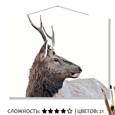 «СЕВЕРНЫЙ ОЛЕНЬ»