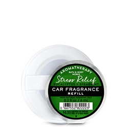 EUCALYPTUS SPEARMINT Car Fragrance Refill