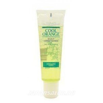 Lebel Cosmetics Лебел Очиститель Холодный Апельсин для жирной кожи головы 130 мл