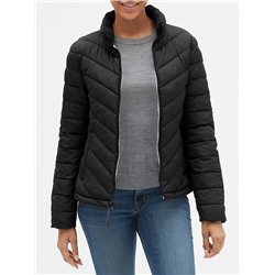 Warmest Jacket