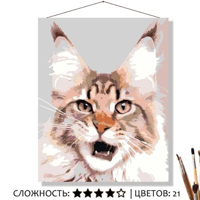 «НАГЛЫЙ»