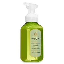 White Barn


Eucalyptus Mint


Gentle Foaming Hand Soap