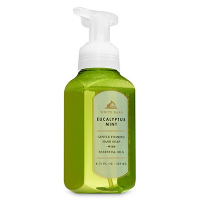 White Barn


Eucalyptus Mint


Gentle Foaming Hand Soap