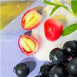Fresh & Cozy Body Lotion
