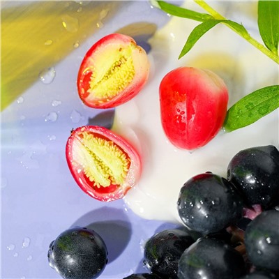 Fresh & Cozy Body Lotion