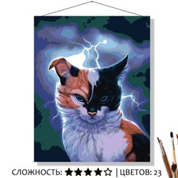 «ШТОРМ»