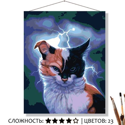 «ШТОРМ»