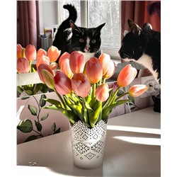 Маленький букет из тюльпанов ( 5 шт * 25 см)