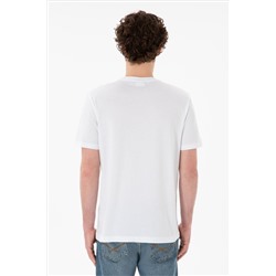 Erkek Regular Fit  V Yaka Antrasit Basic Tişört