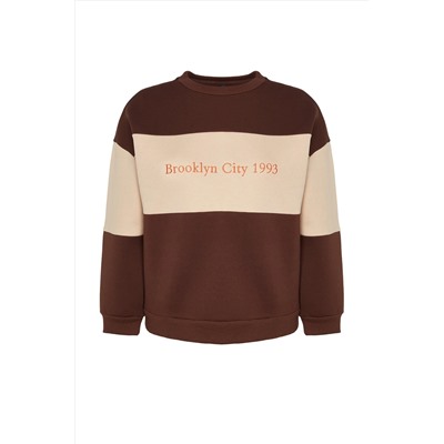 Kahverengi Kalın İçi Polarlı Nakışlı Oversize/Geniş Kalıp Örme Büyük Beden Sweatshirt TBBAW24AO00024