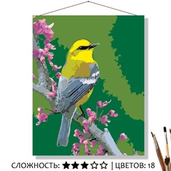 «ЯРКАЯ ПТИЧКА»