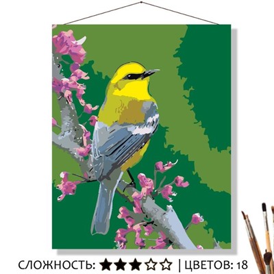 «ЯРКАЯ ПТИЧКА»