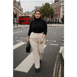 Taş Yüksek Bel Wide Leg Geniş Paça Pilili Dokuma Kumaş Pantolon TBBSS24AR00019