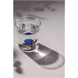 Violet Borosilikat Cam Bardak - Sarı/Mavi - 350 ml