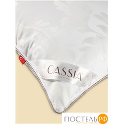 CASSIA АЙЛИН Подушка 50х70, 1пр., жаккард хл,виск.шелк/микрогель Airsoft