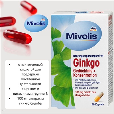 Ginkgo Gedächtnis + Konzentration Kapseln