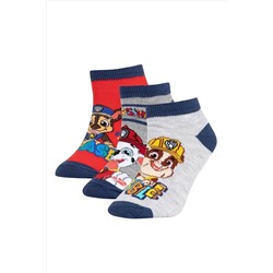 Defacto Erkek Çocuk Paw Patrol Pamuklu 3'lü Patik Çorap T9980A6NS