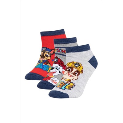 Defacto Erkek Çocuk Paw Patrol Pamuklu 3'lü Patik Çorap T9980A6NS