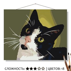 «ТАЙСОН»