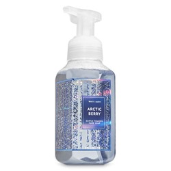 Arctic Berry


Gentle Foaming Hand Soap